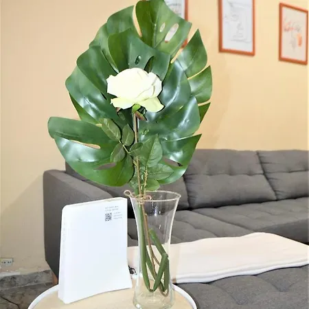 Lejlighed Teresa Urban Flat Palmas *